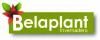 Foto de Belaplant S.C de R.L de C.V-Comercio al por menor de plantas y