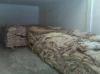 Foto de Luis raul pe�a robledo-cuero curtido y pieles