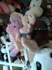 Foto de Regalos y envolturas d� ery