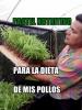 Foto de Pollos desintoxicados chalu