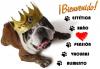 Foto de Unidad Veterinaria Metropolitana